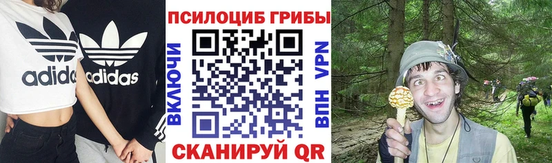 купить цена Беслан Галлюциногенные грибы мицелий